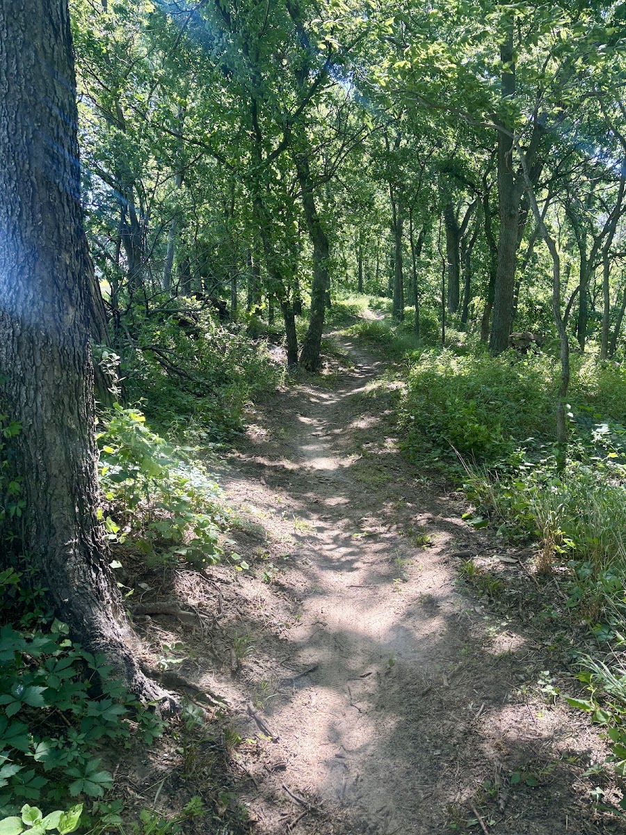 Lawrence River Trails