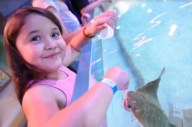 Family Fun at Layton Aquarium