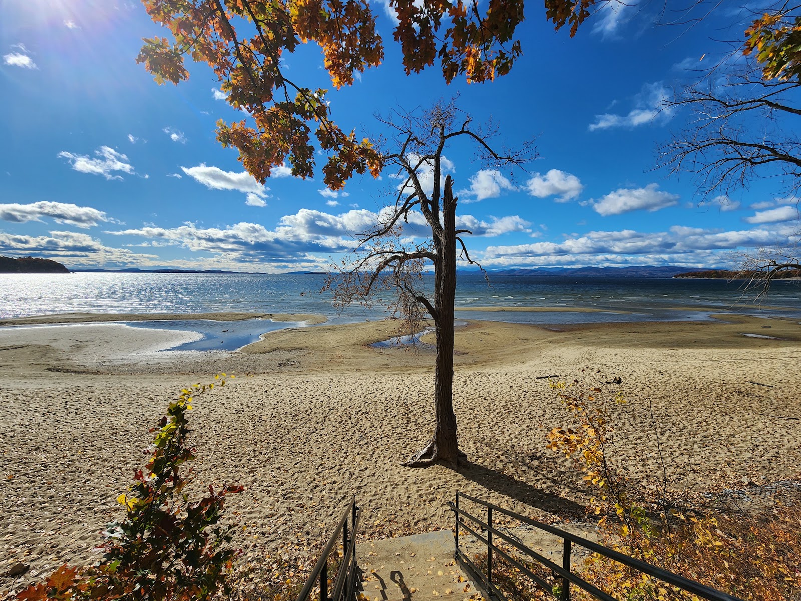 Leddy Beach