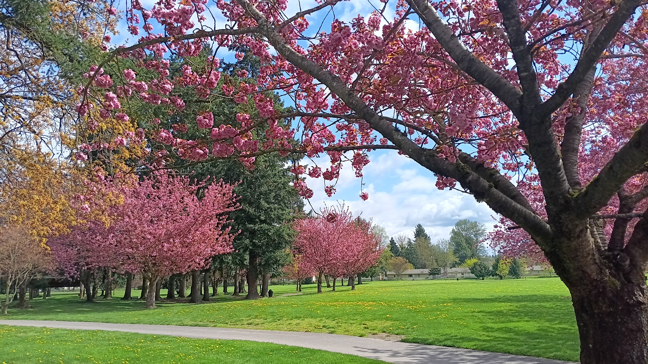Les Gove Park