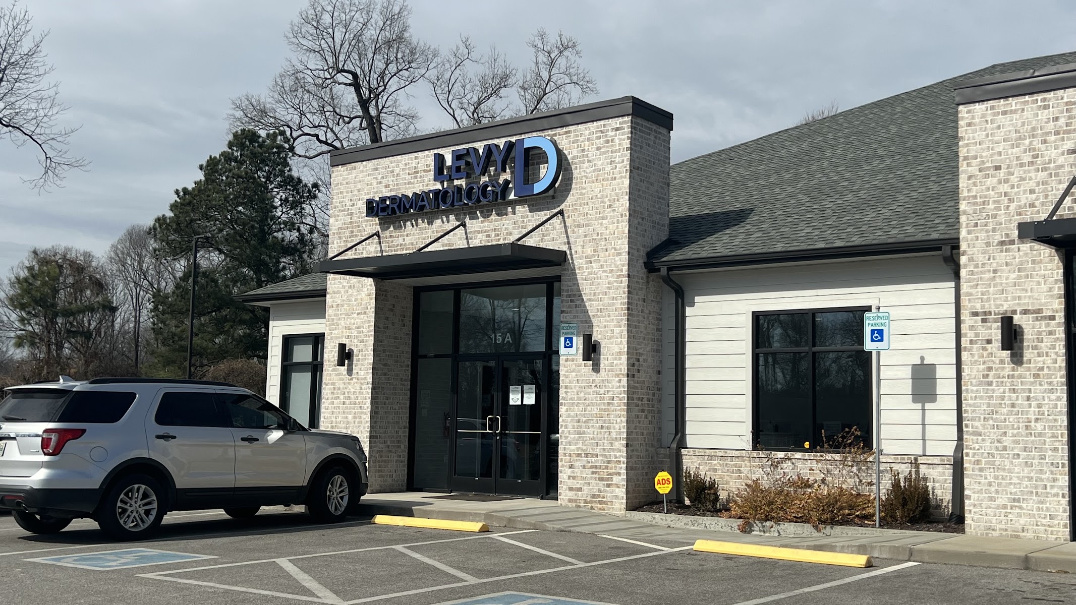 Levy Dermatology