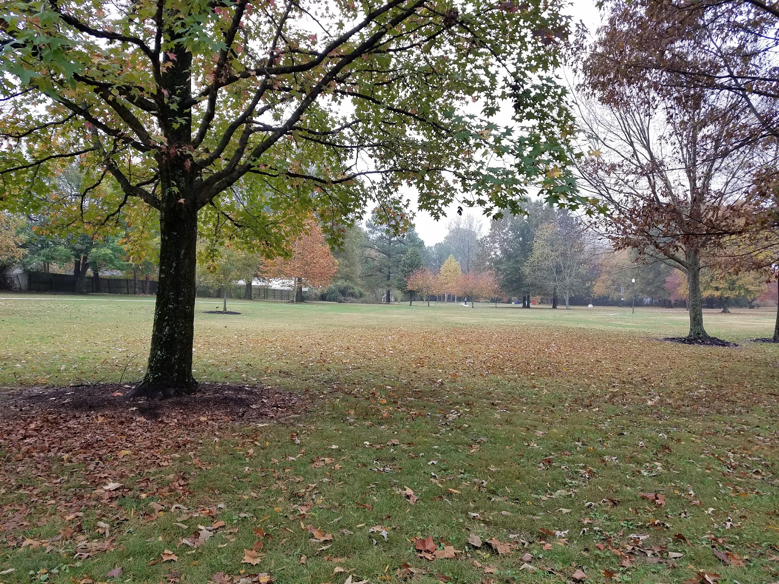 Liberty Garden Park & Arboretum
