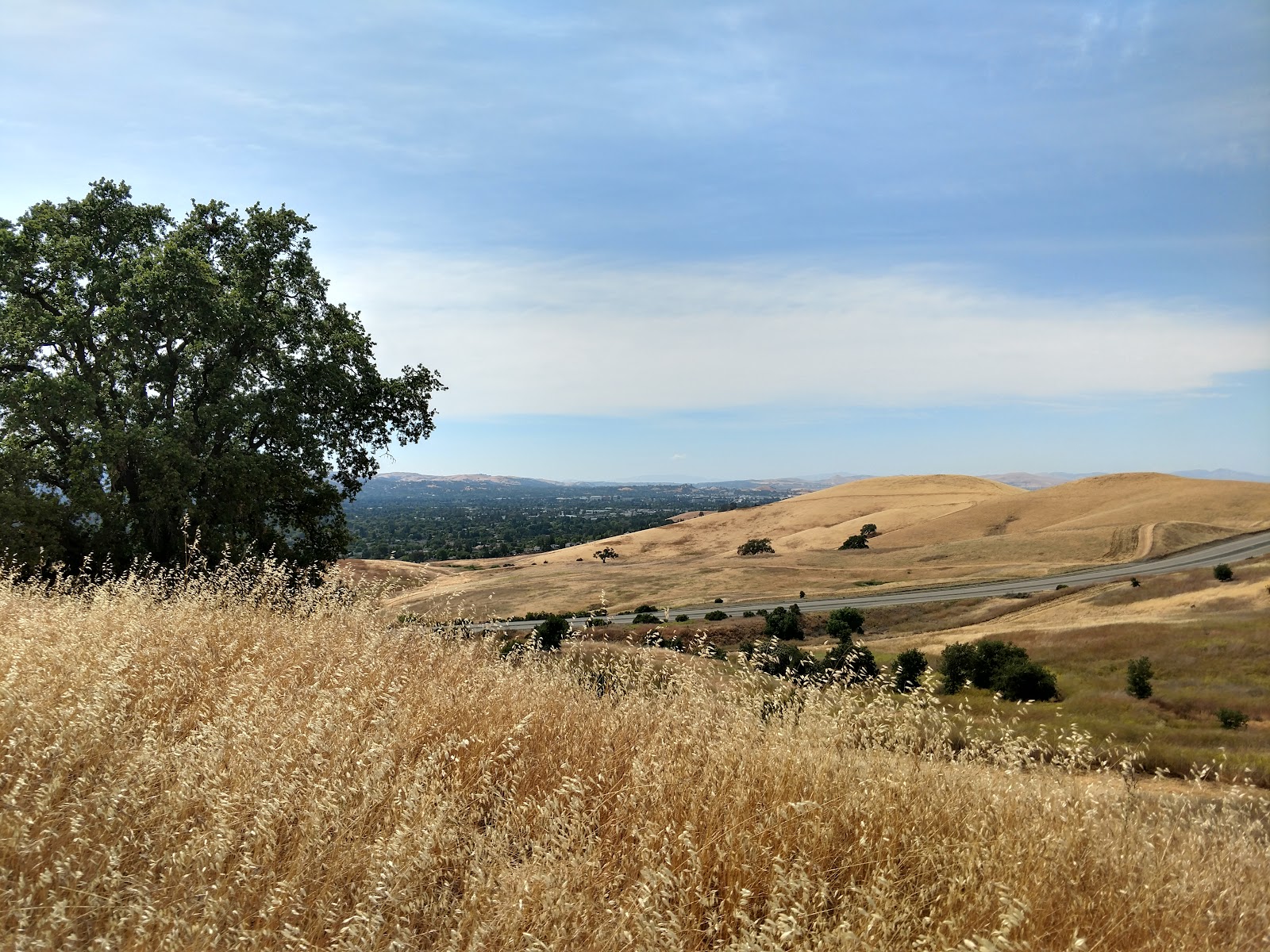Lime Ridge Open Space