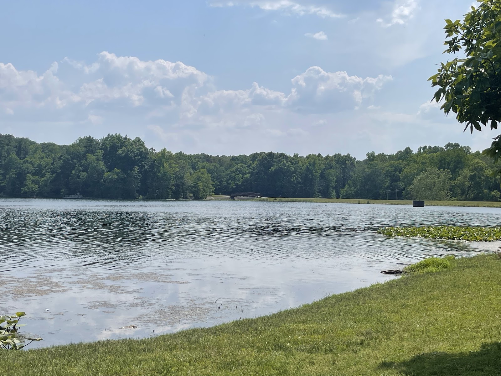 Lincoln State Park