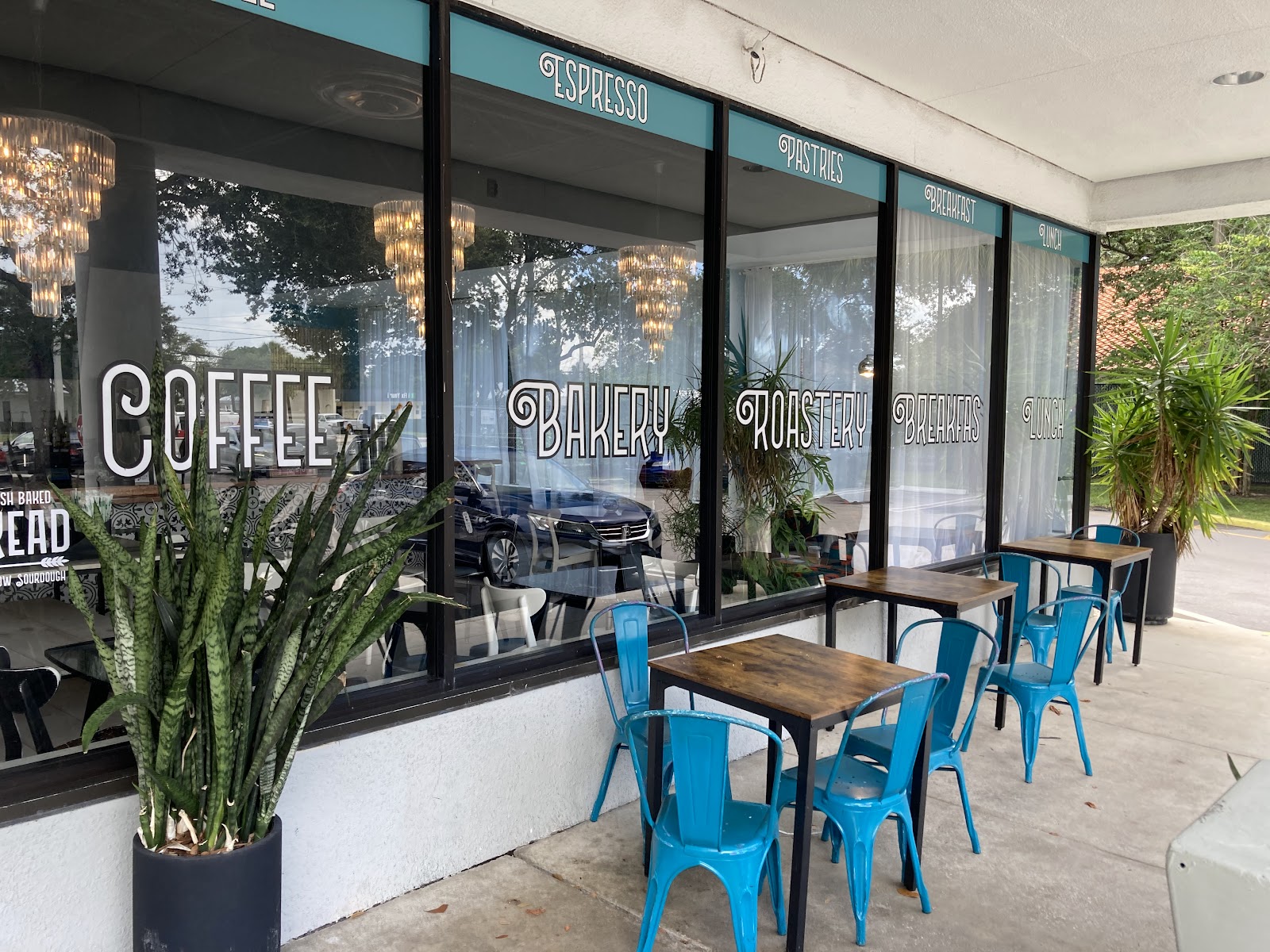 Lingonberry (Northlake)