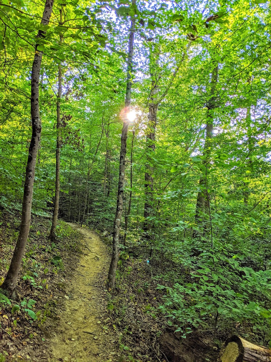 Little Creek Park Office