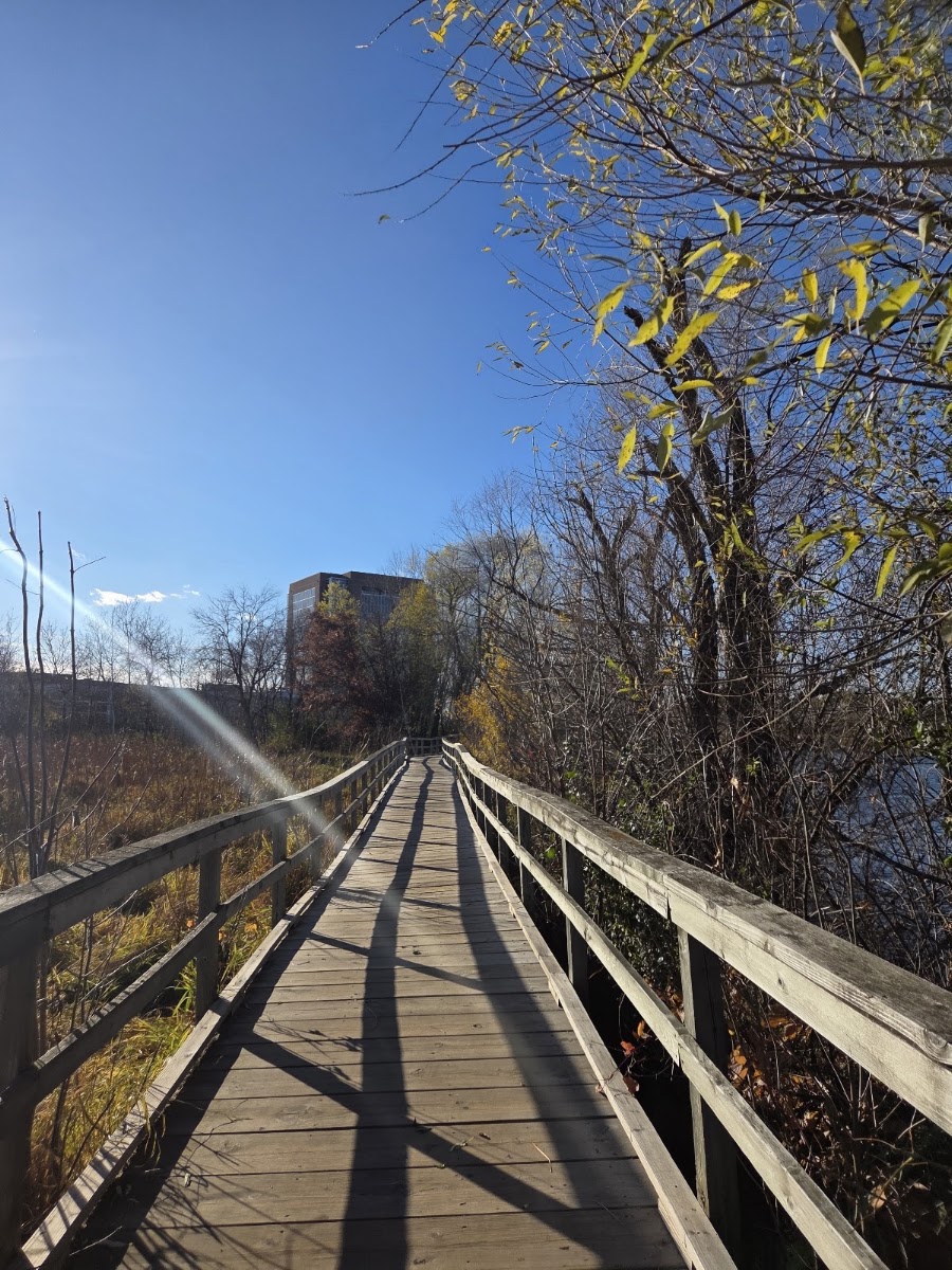 Lochness Park