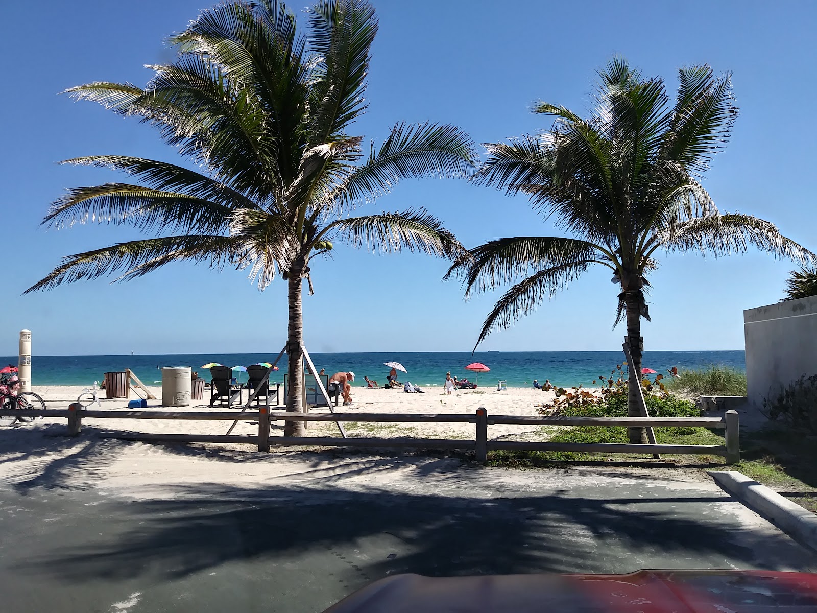 Loggerhead Park