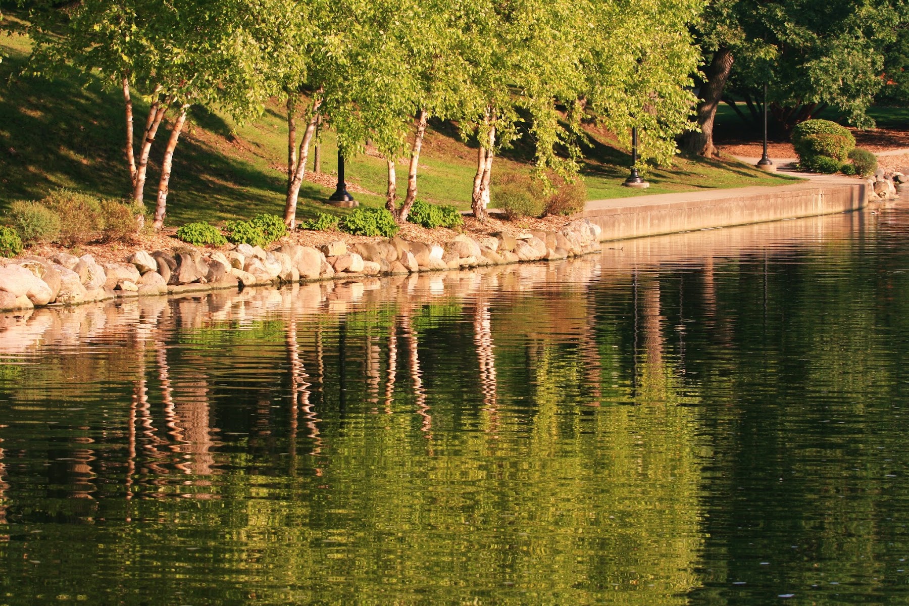 Lords Park