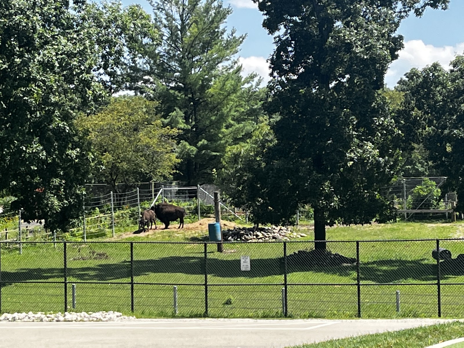Lords Park Zoo