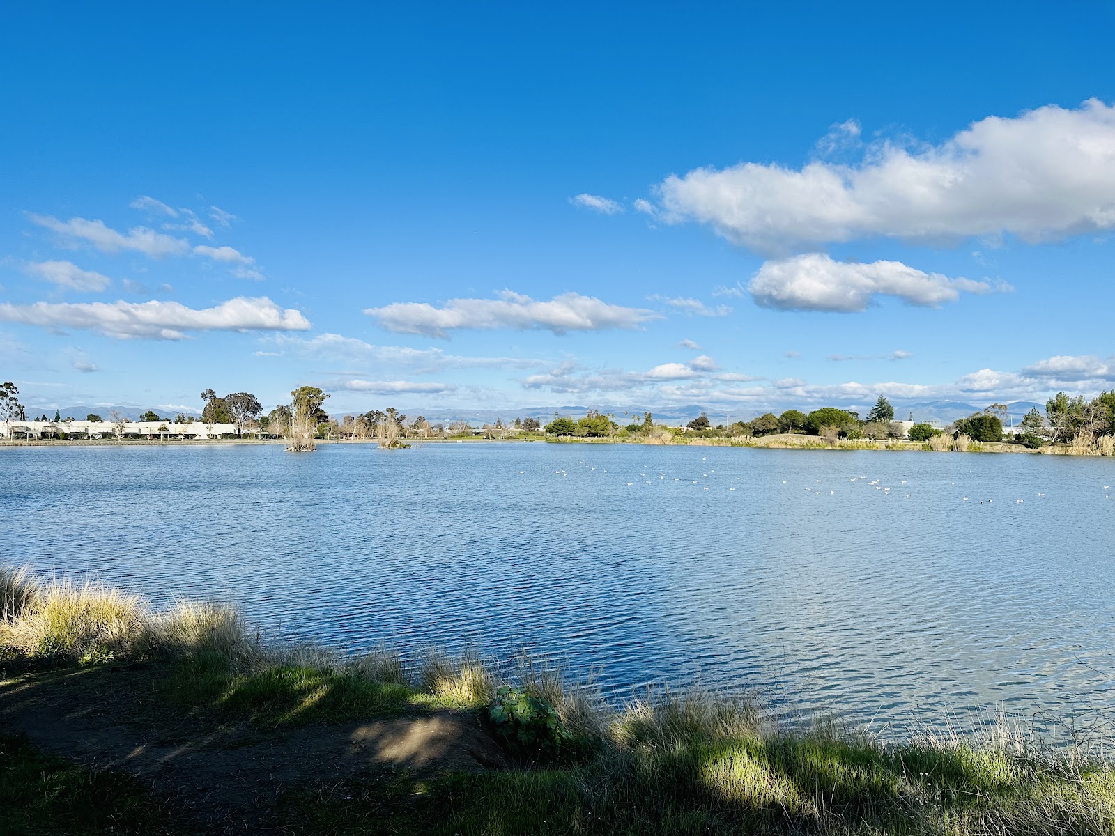 Los Gatos Creek Trail