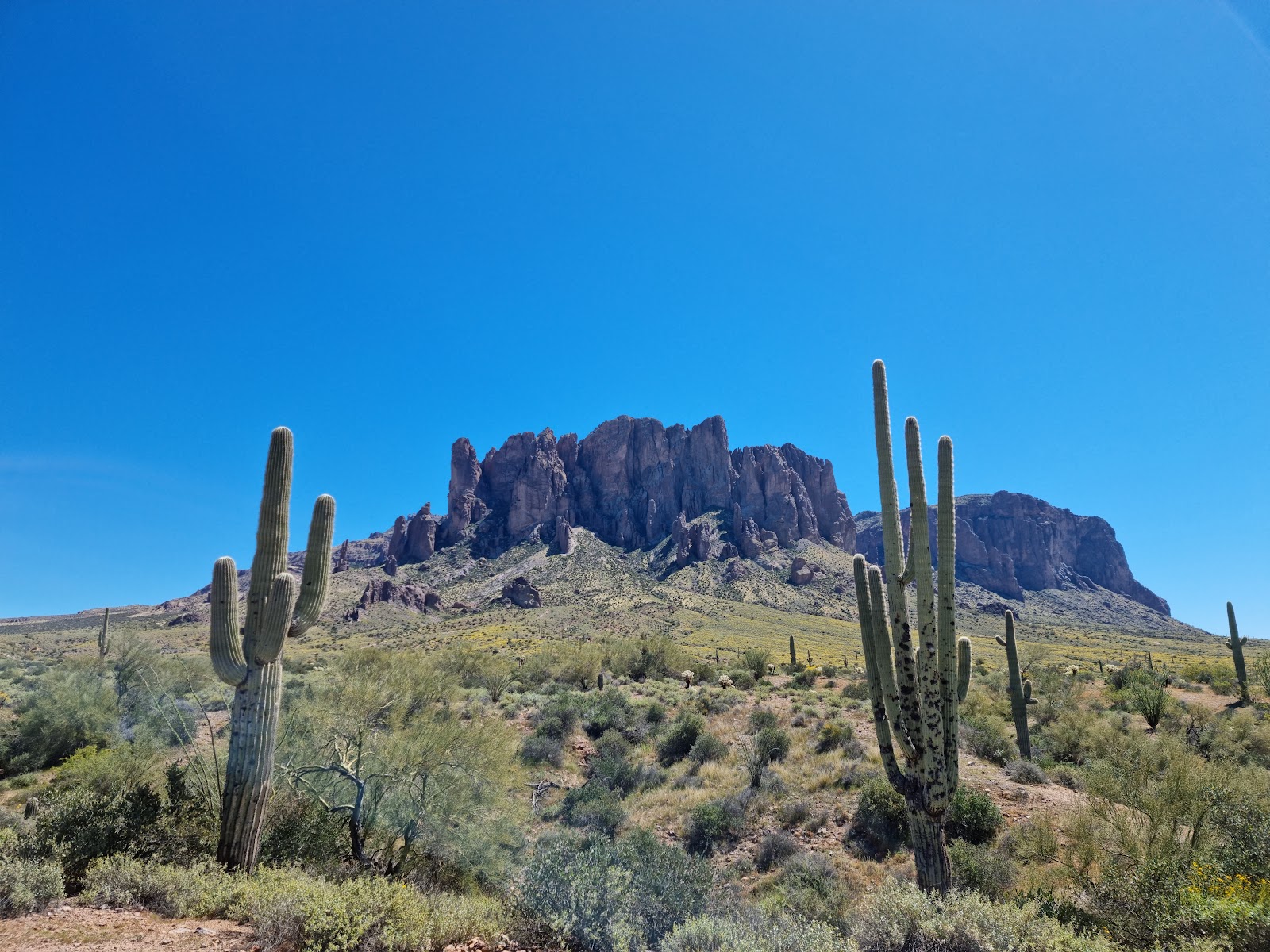 Lost Dutchman State Park