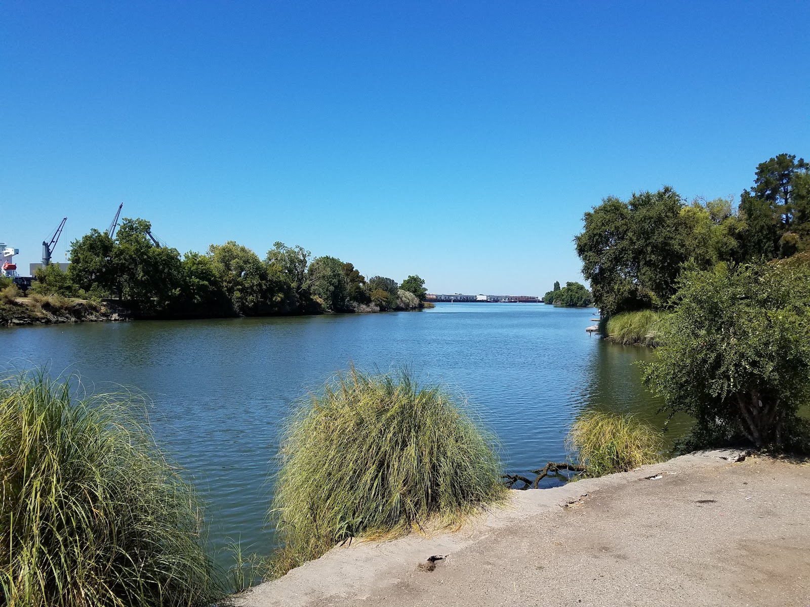 Louis Park