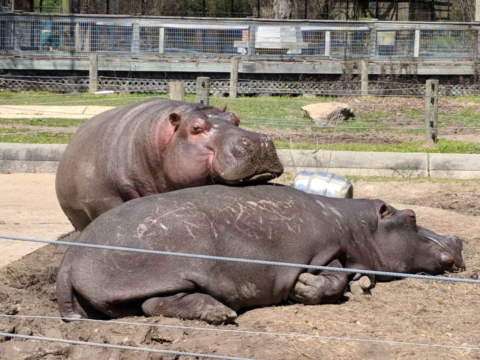 Louisiana Purchase Gardens & Zoo