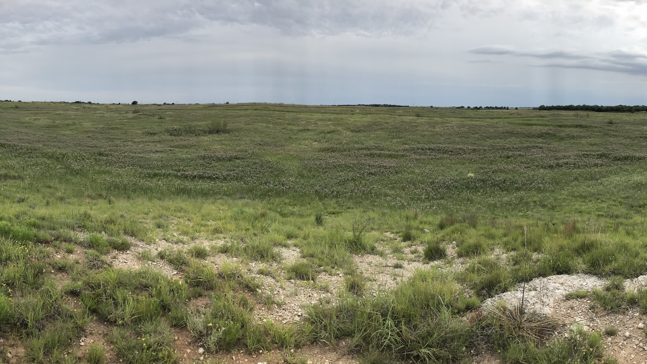 Lubbock Lake National Historic Landmark