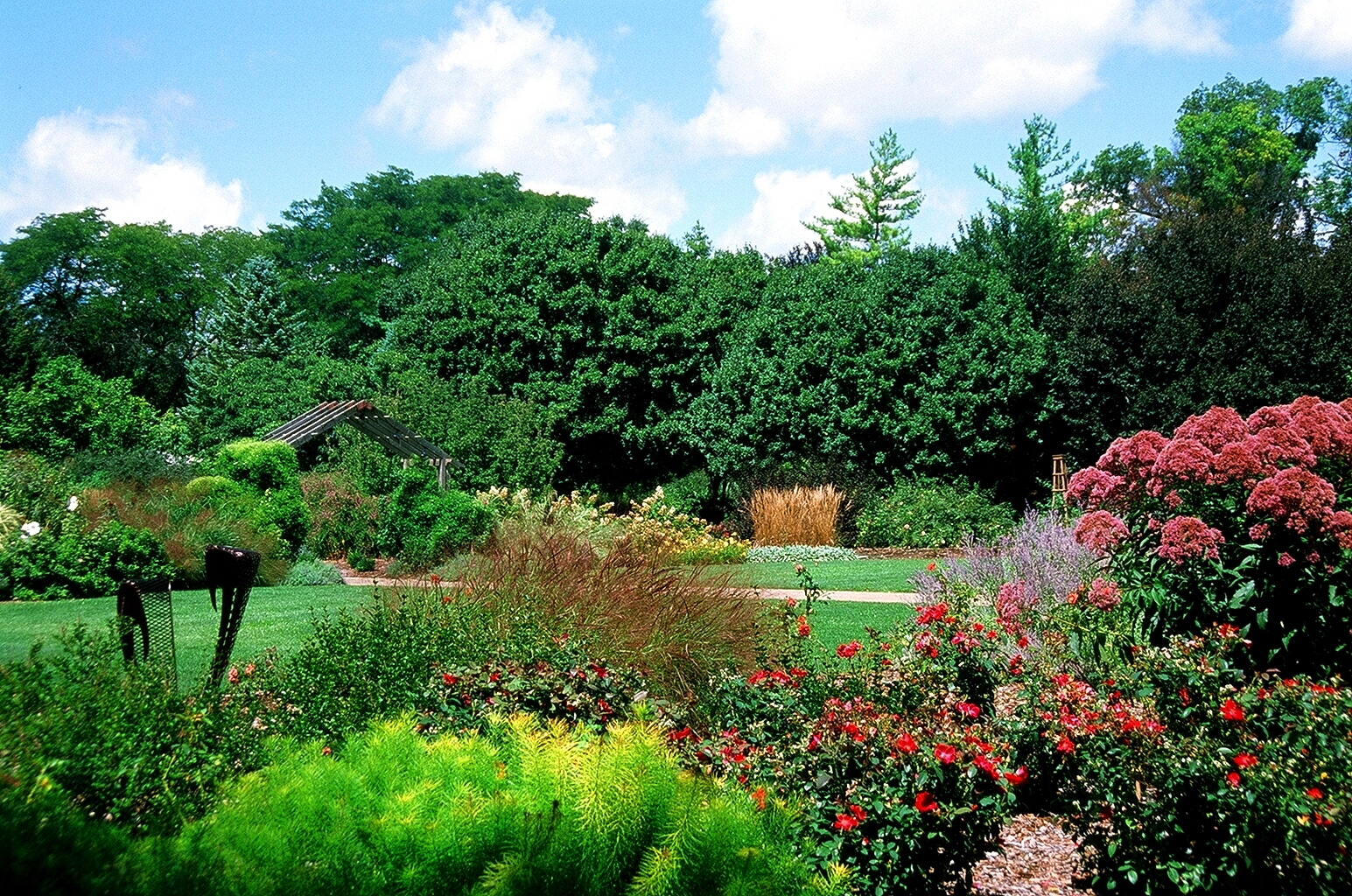 Luthy Botanical Garden
