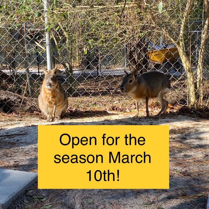 Lynnwood Park Zoo