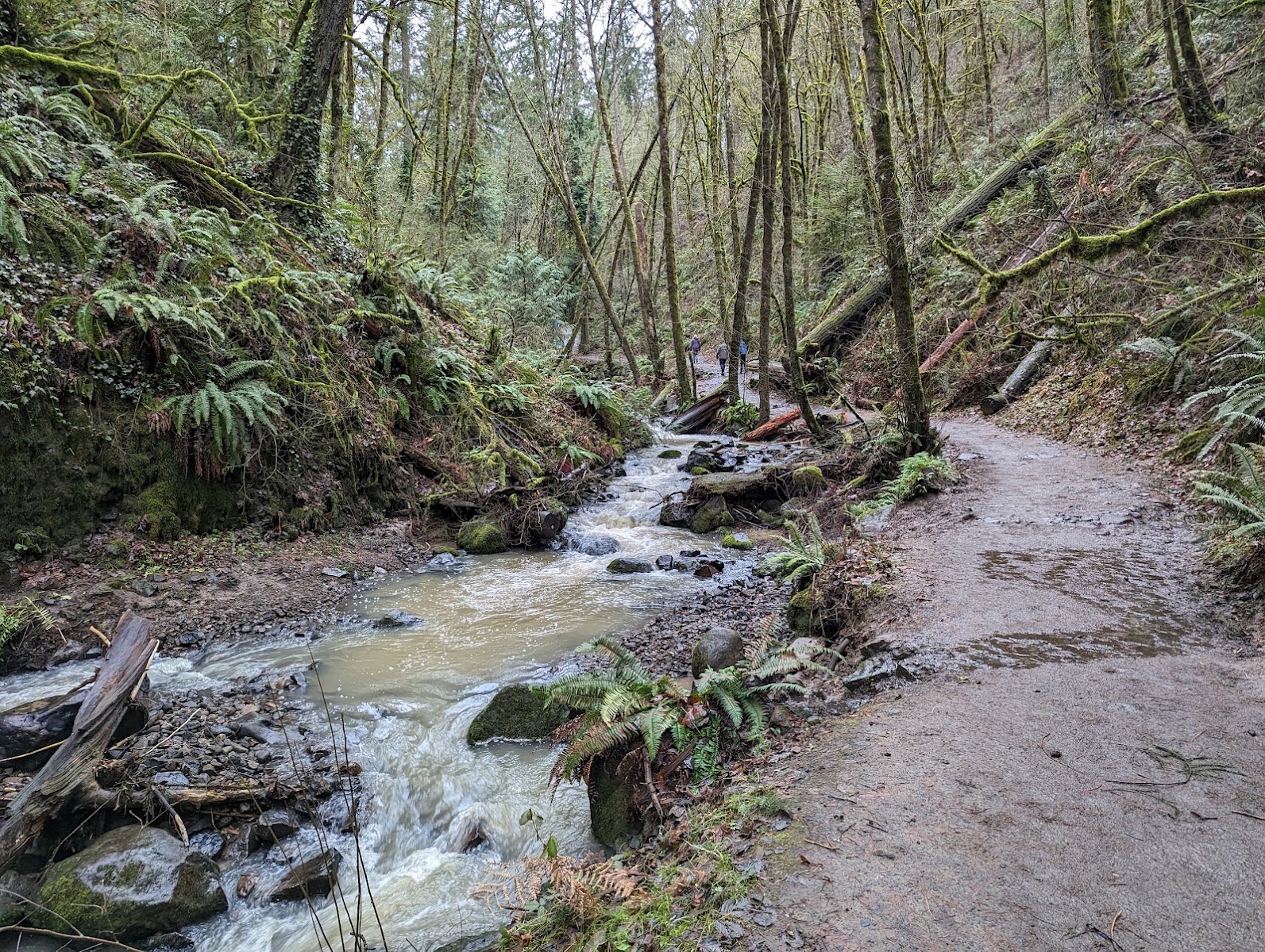 Macleay Park