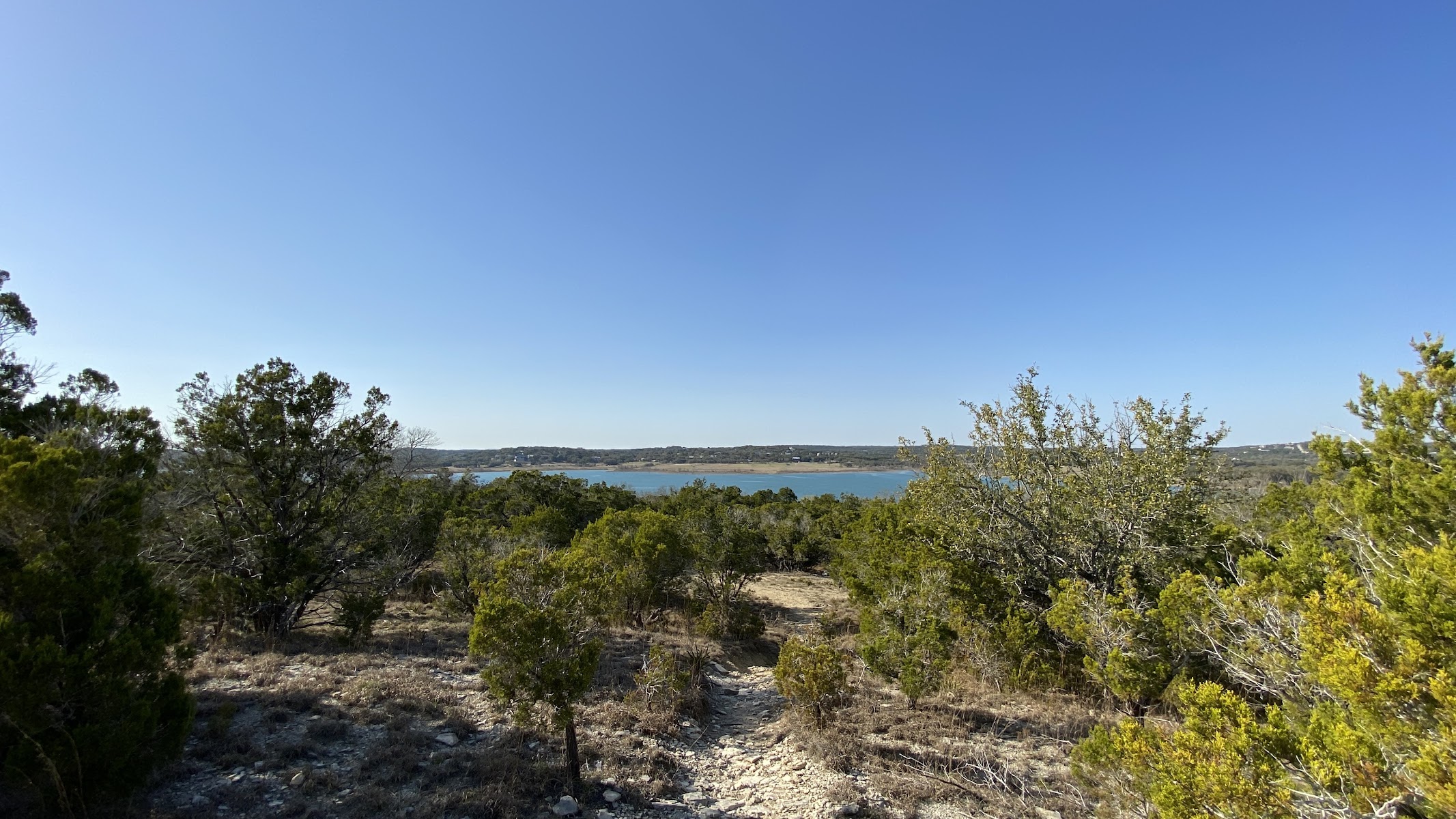Madrone Trail