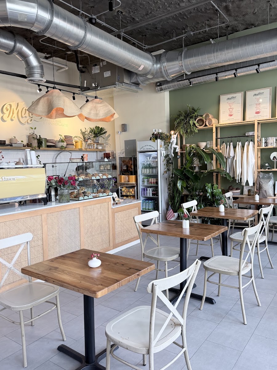 Magdalena Coffee & Houseplants