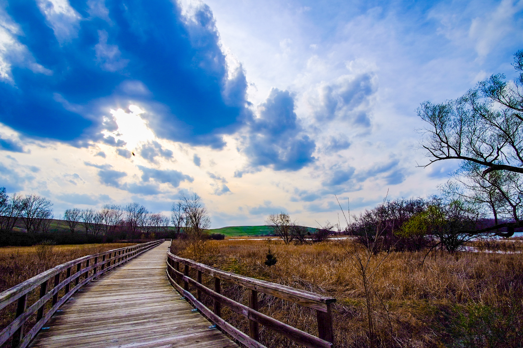 Mallard Lake Forest Preserve