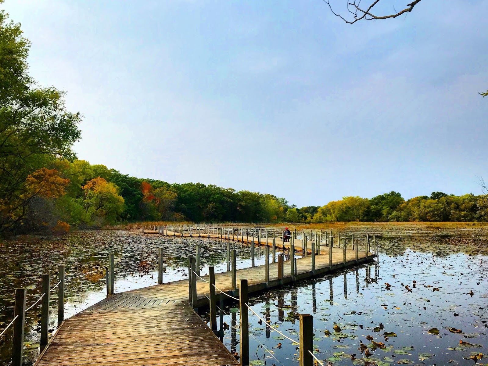 Maplewood Nature Center