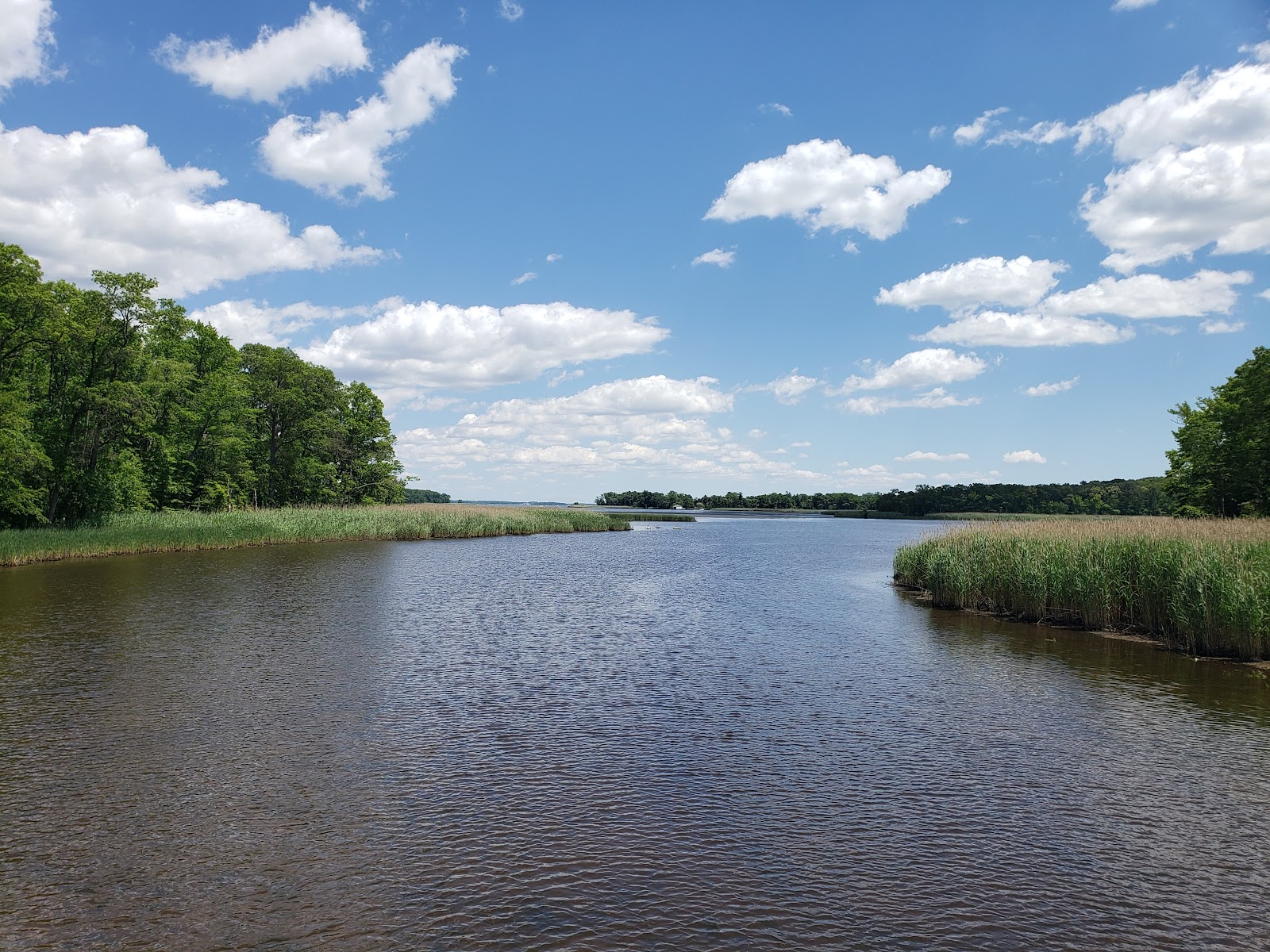 Marshy Point Nature Center