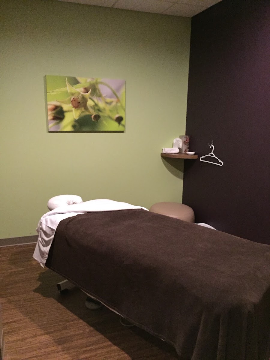 Massage Envy