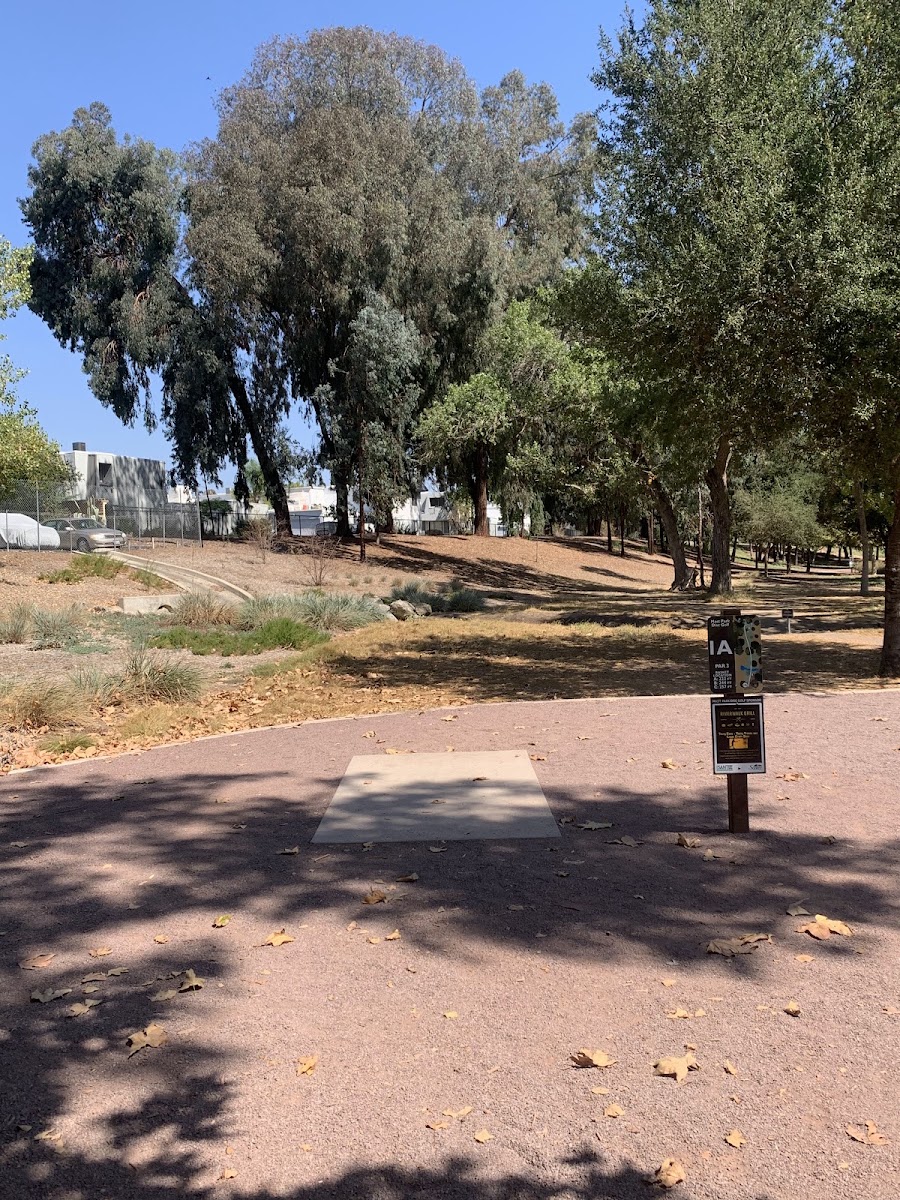 Mast Park
