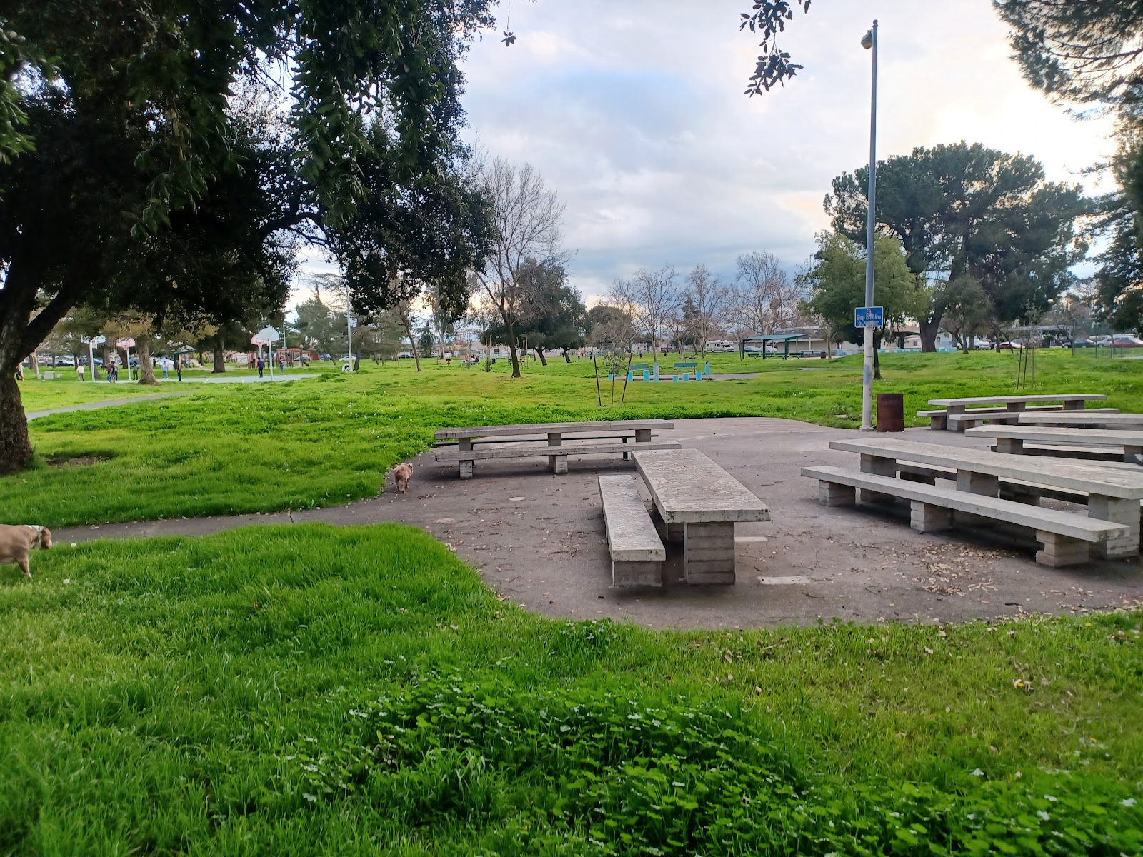 Mattie Harrell Park