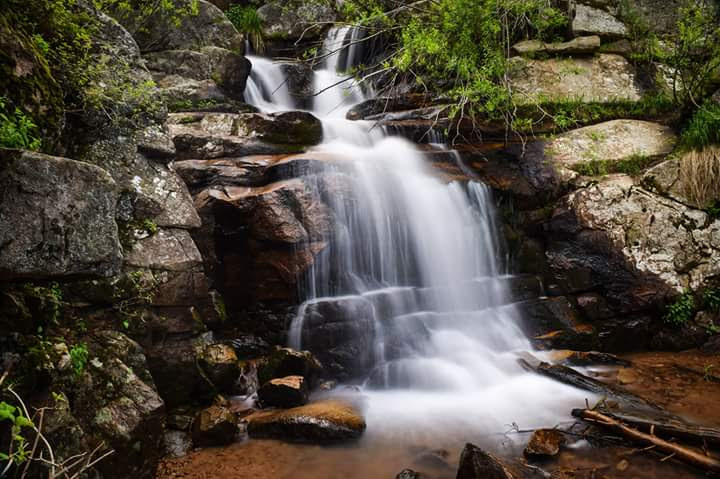 Maxwell Falls Lower Trail