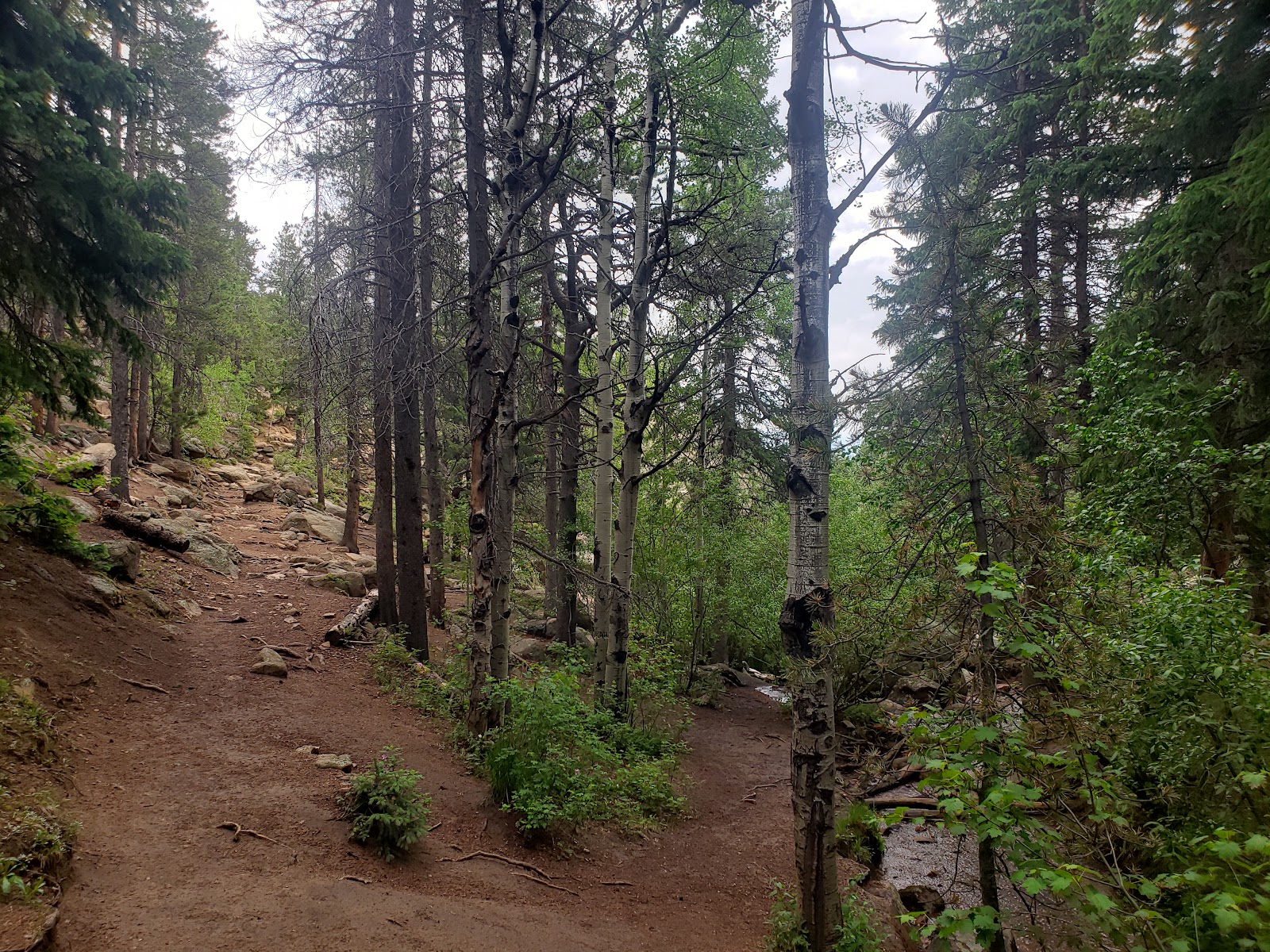 Maxwell Falls Trailhead
