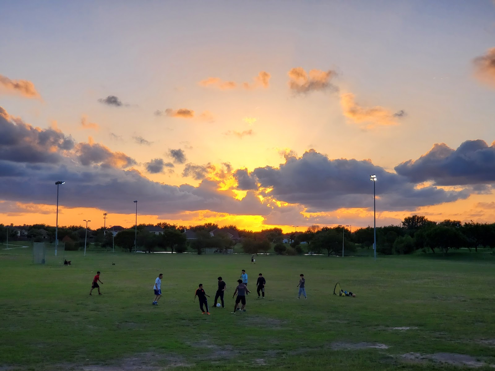 McAuliffe Park