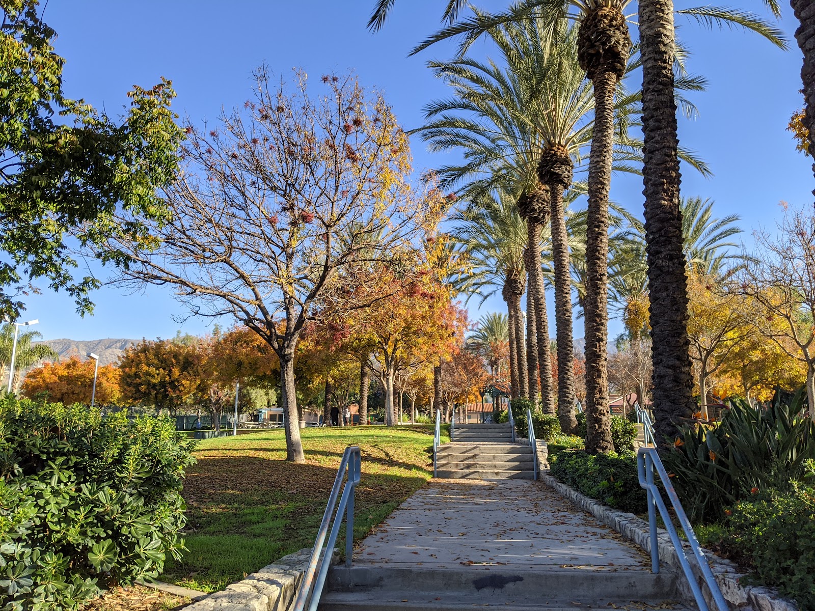 McCambridge Recreation Center