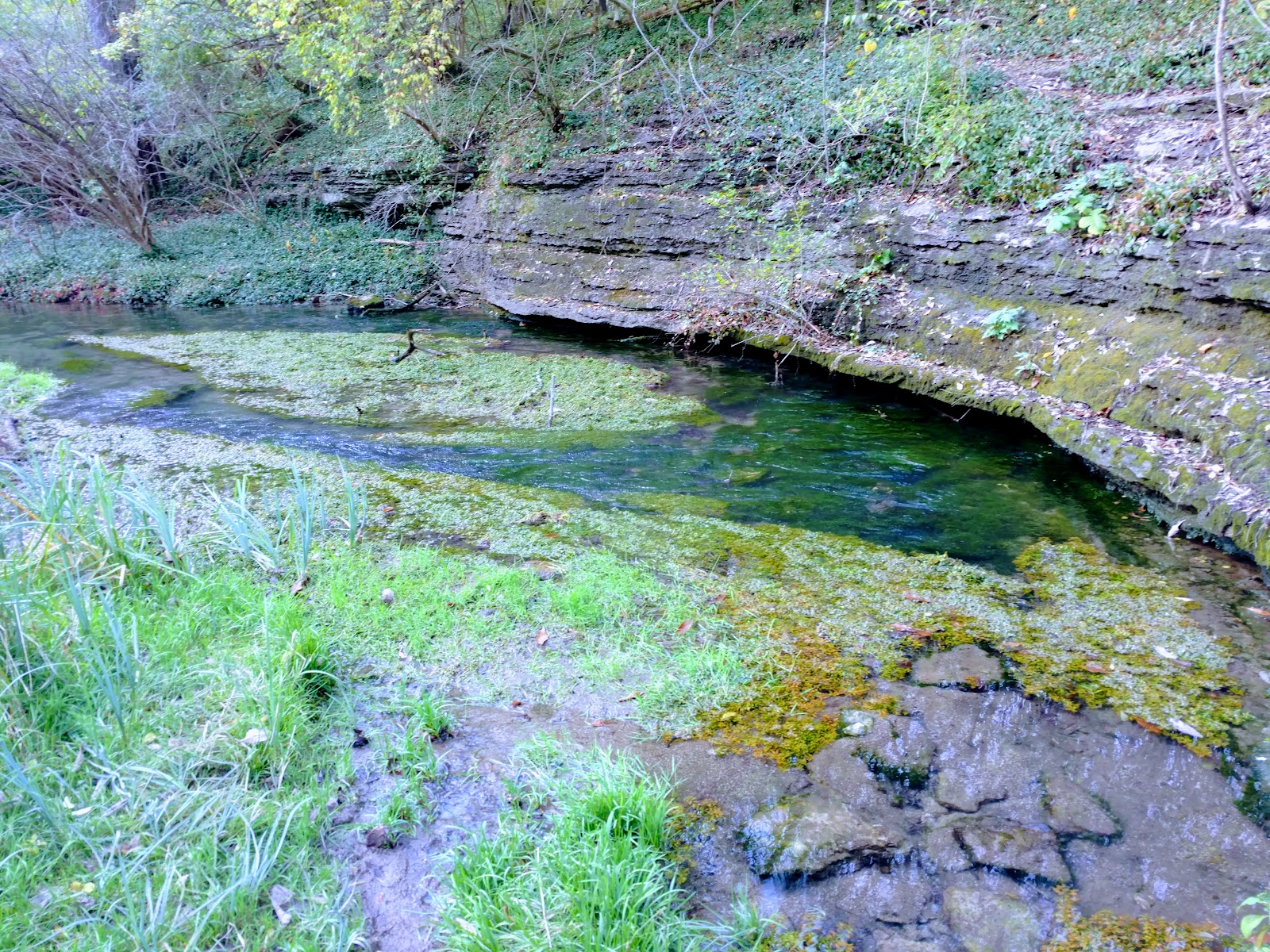 McConnell Springs Park