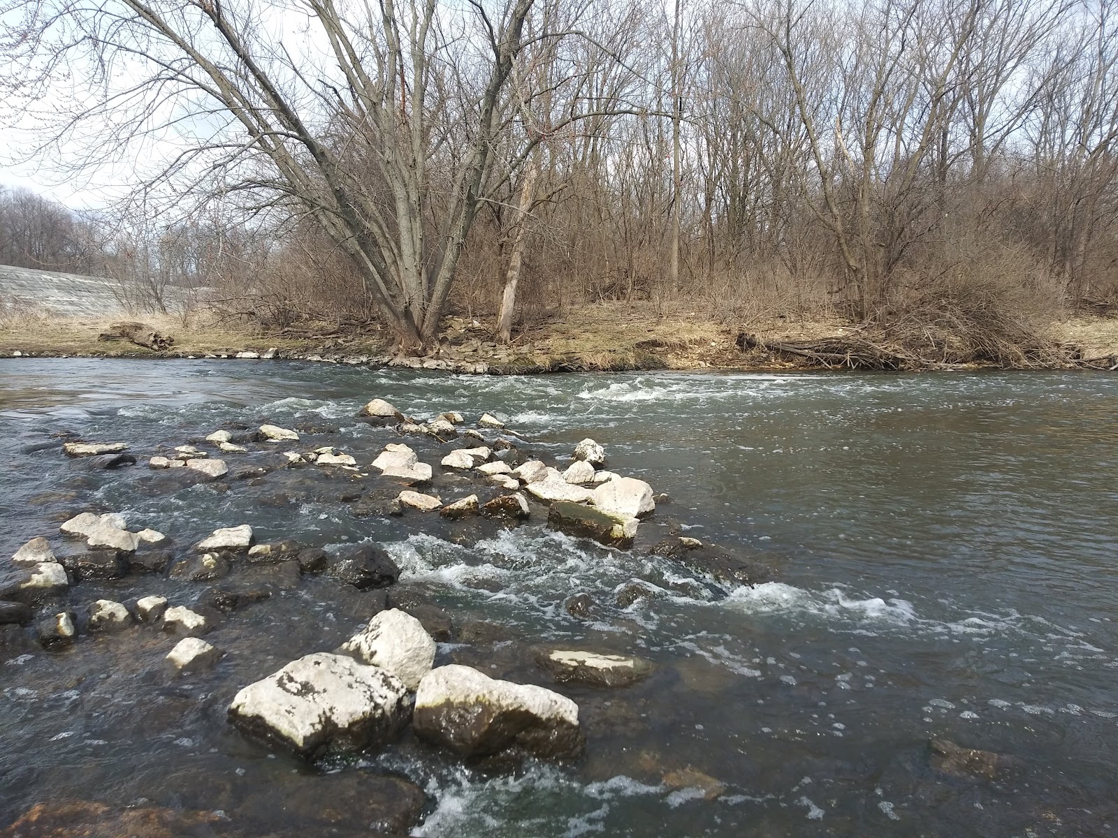 McDowell Grove Forest Preserve