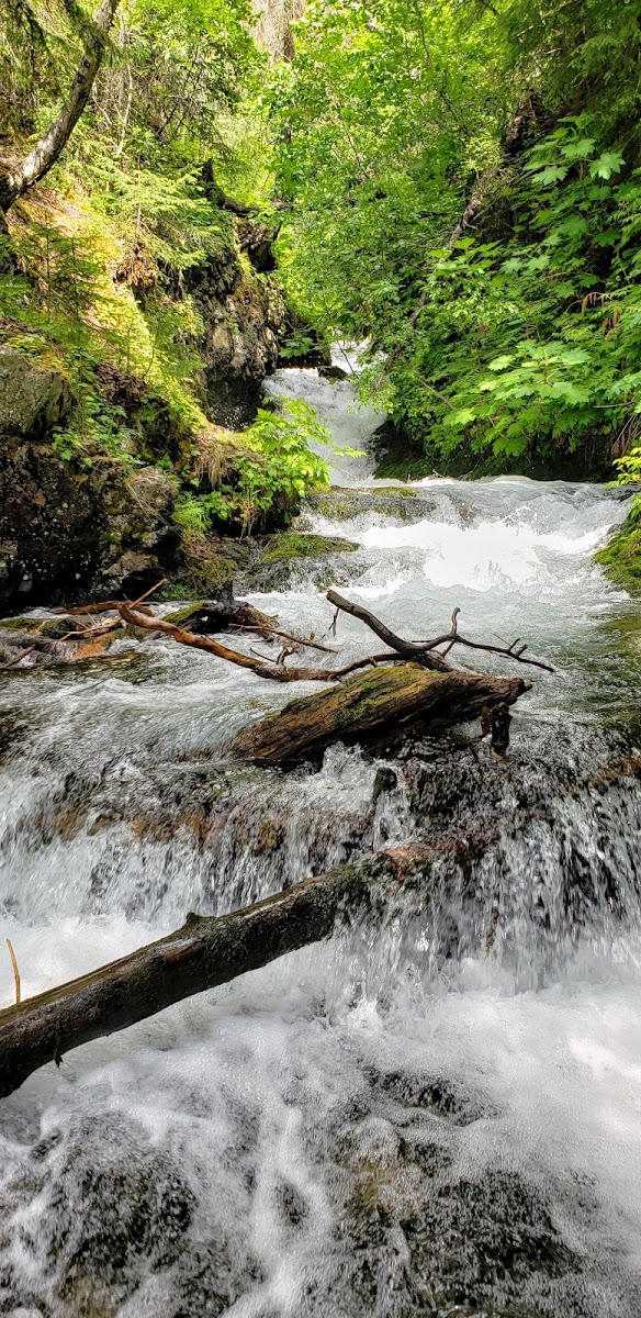 McHugh Creek Day Use Area