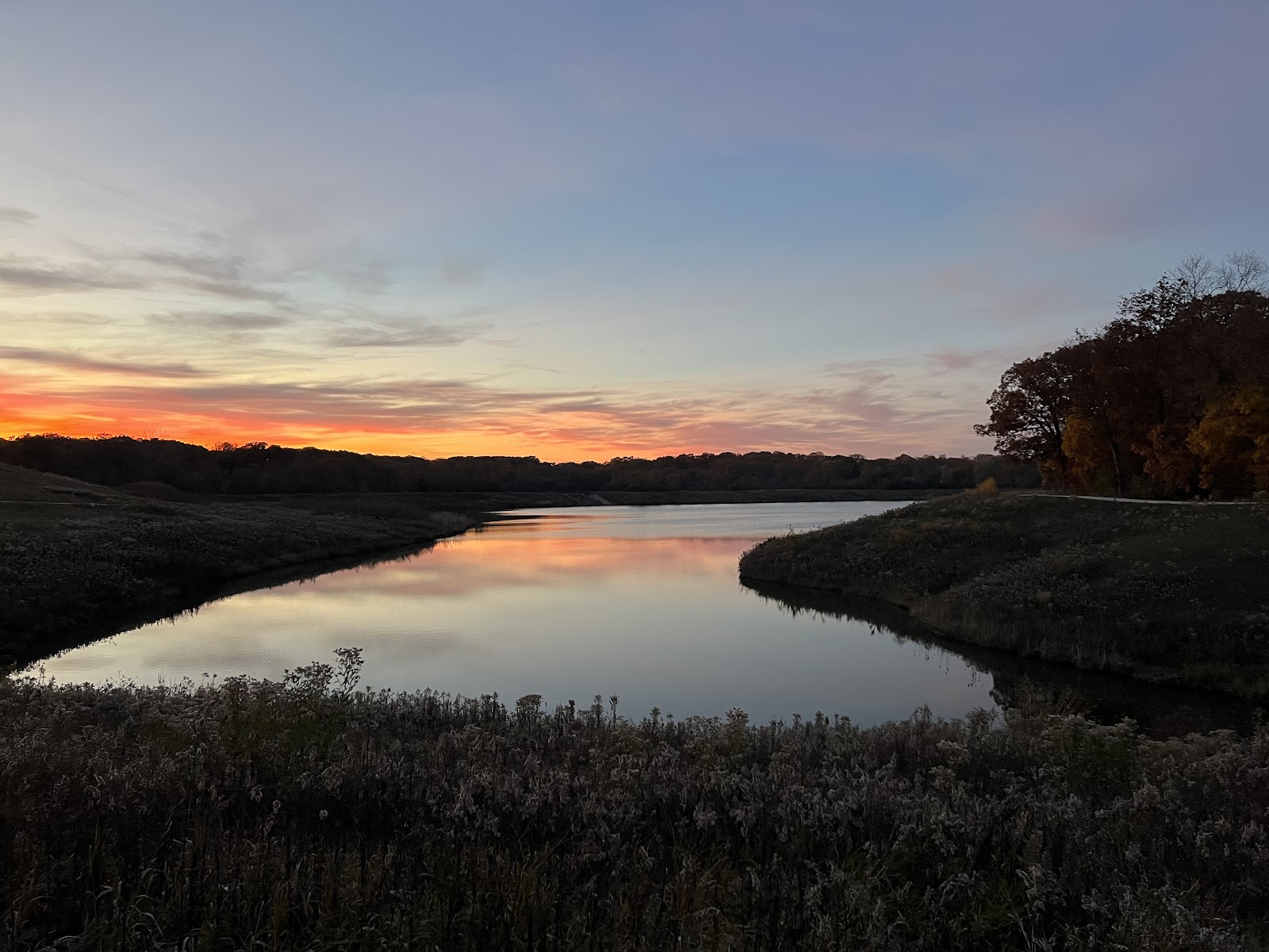 Meacham Grove Forest Preserve