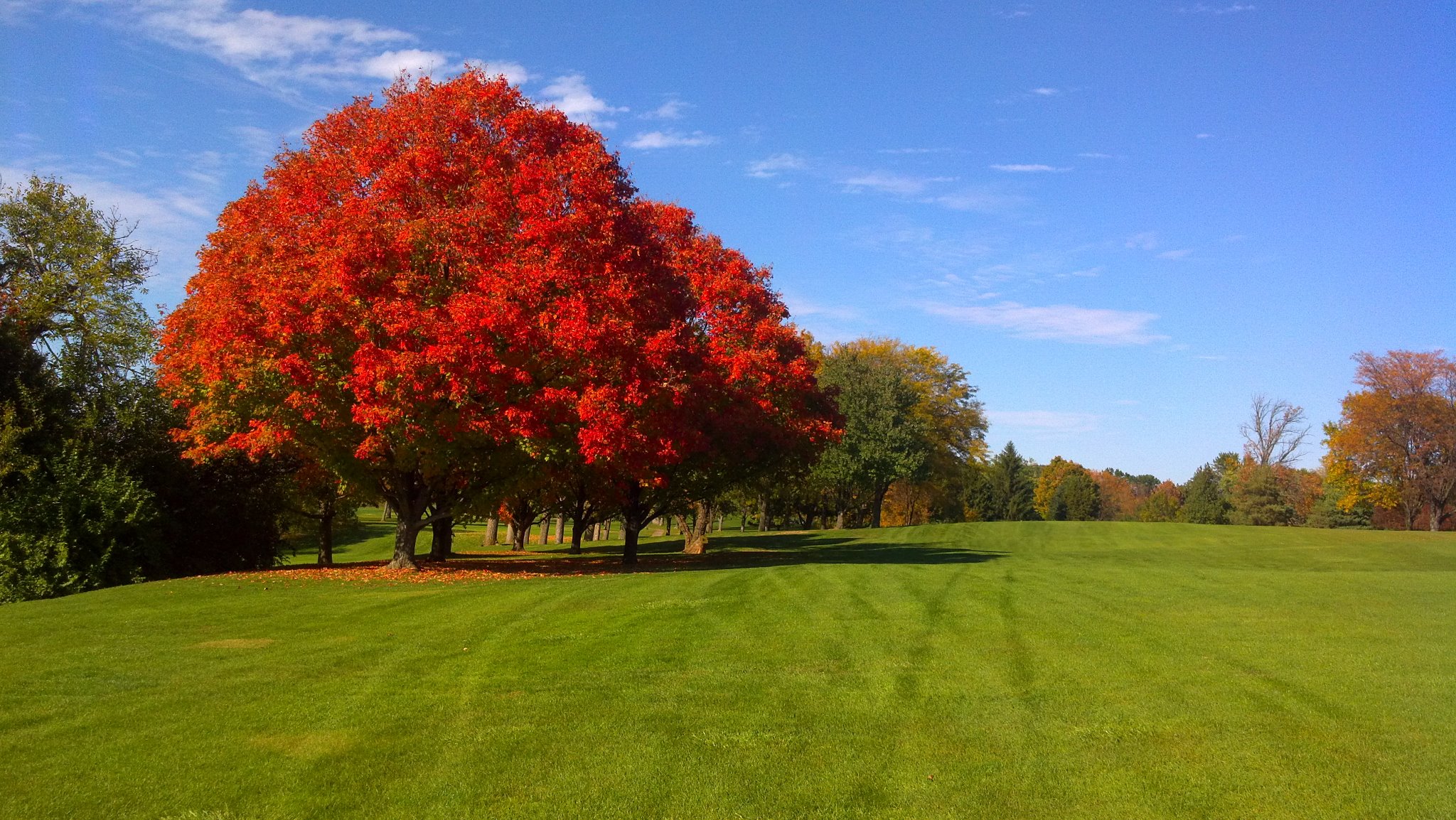 Meadowbrook at Clayton