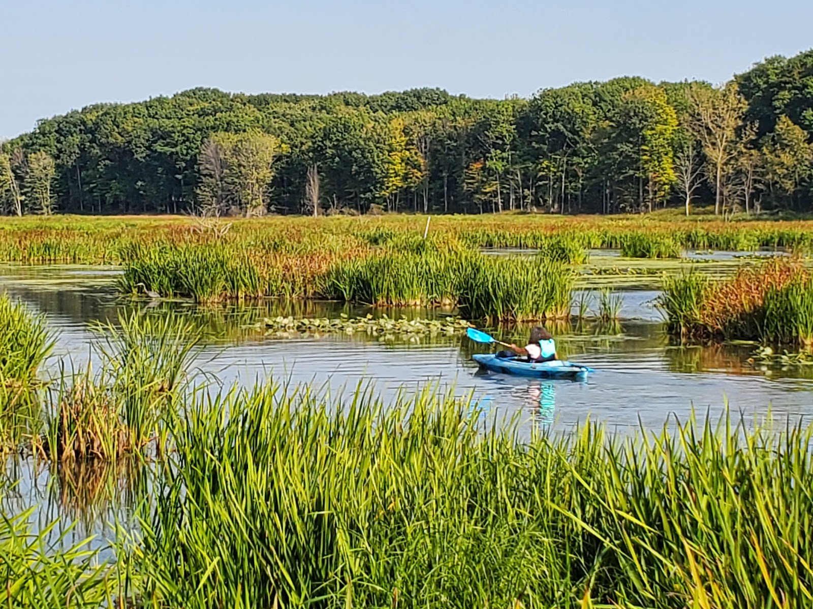 Mentor Lagoons Nature Preserve & Marina