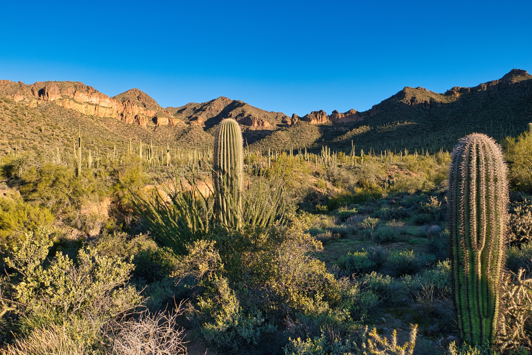 Meridian / Bulldog Pass Trailhead