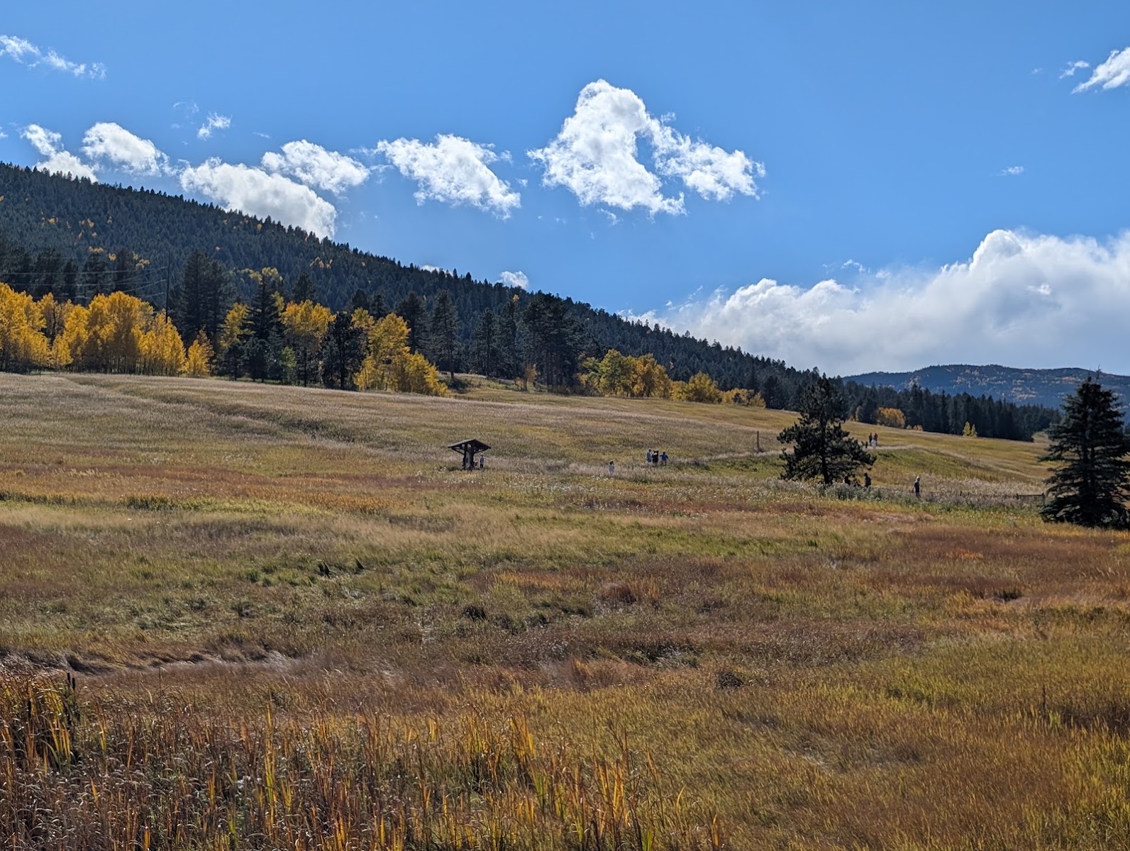 Meyer Ranch Park