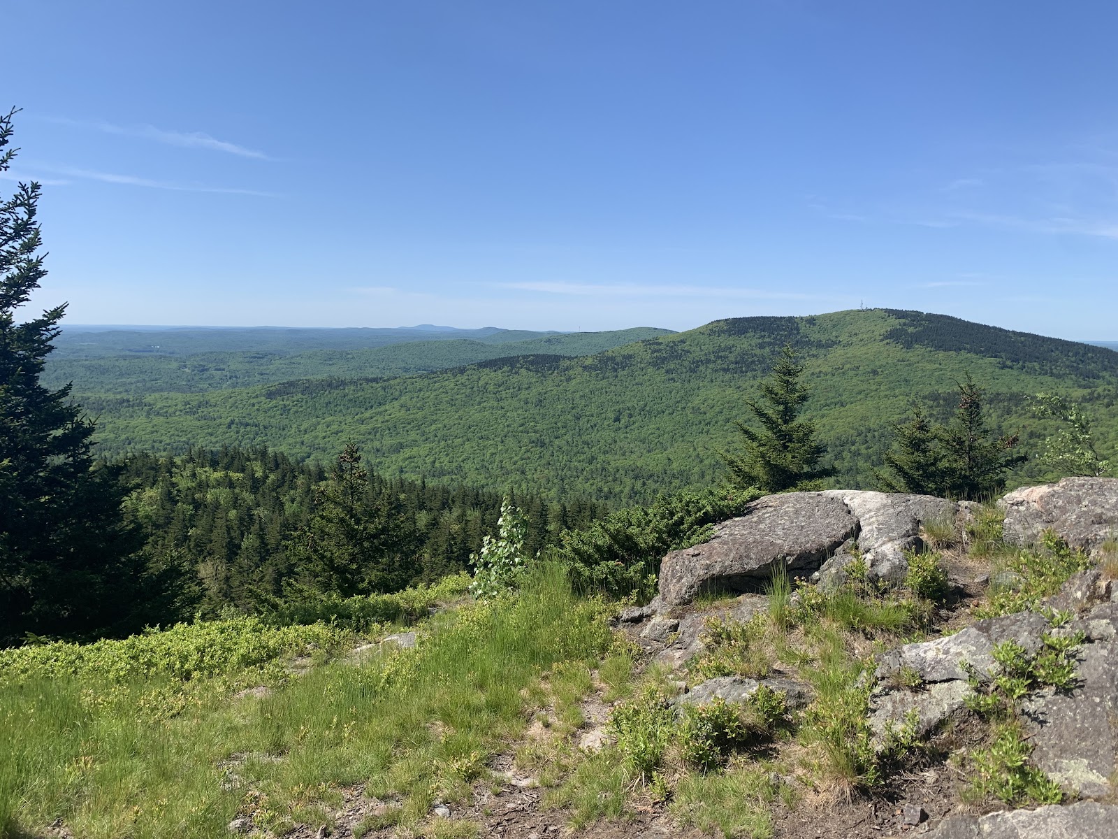 Miller State Park