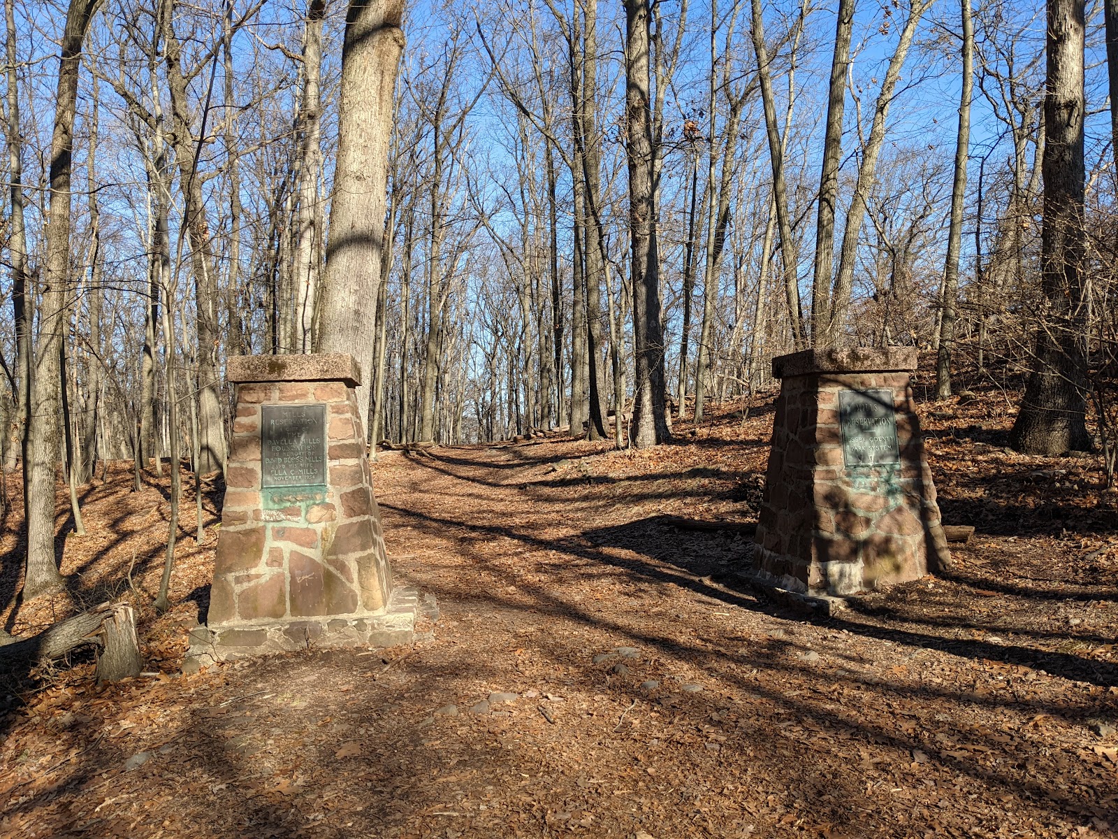 Mills Reservation