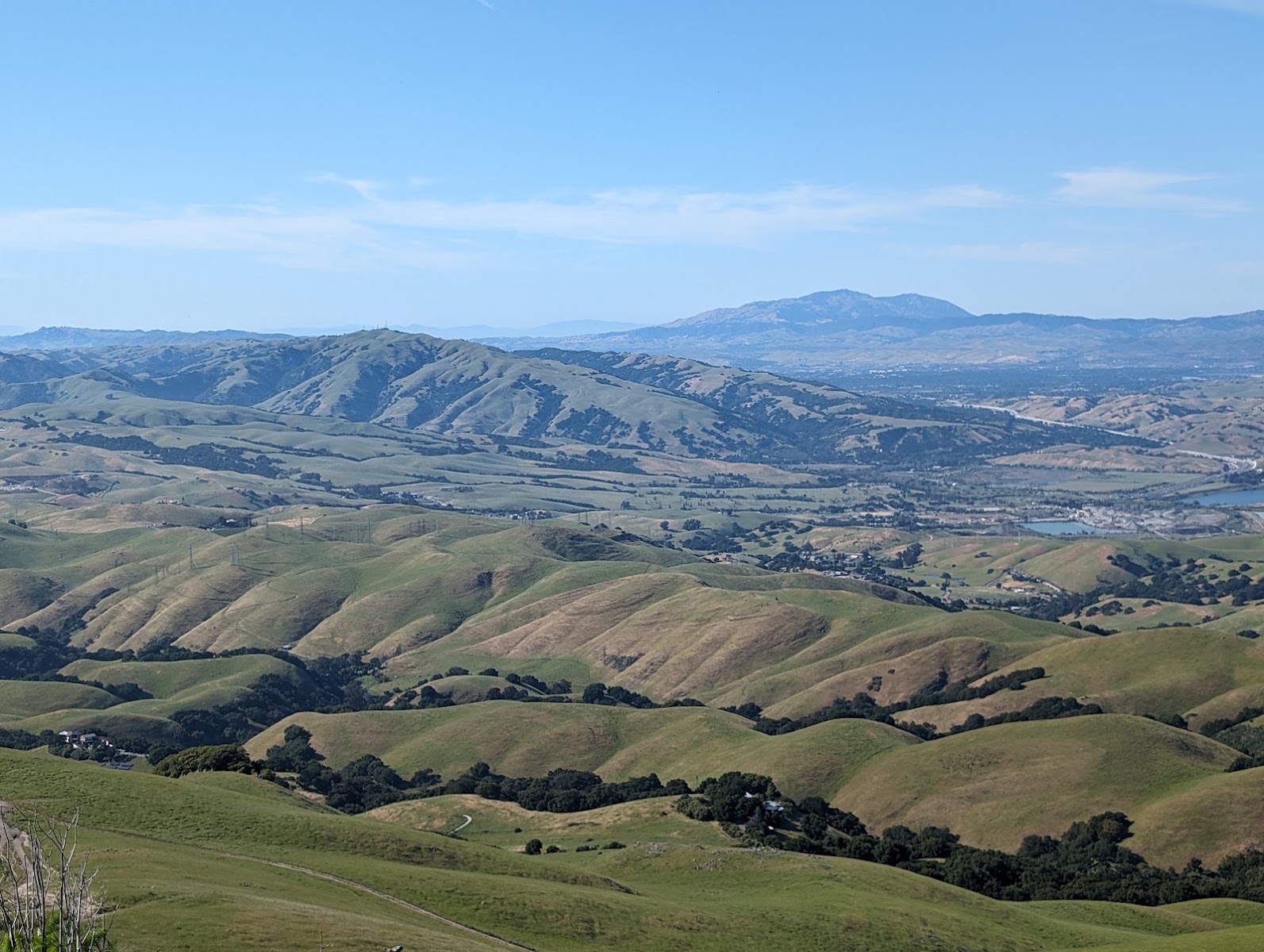 Mission Peak Regional Preserve