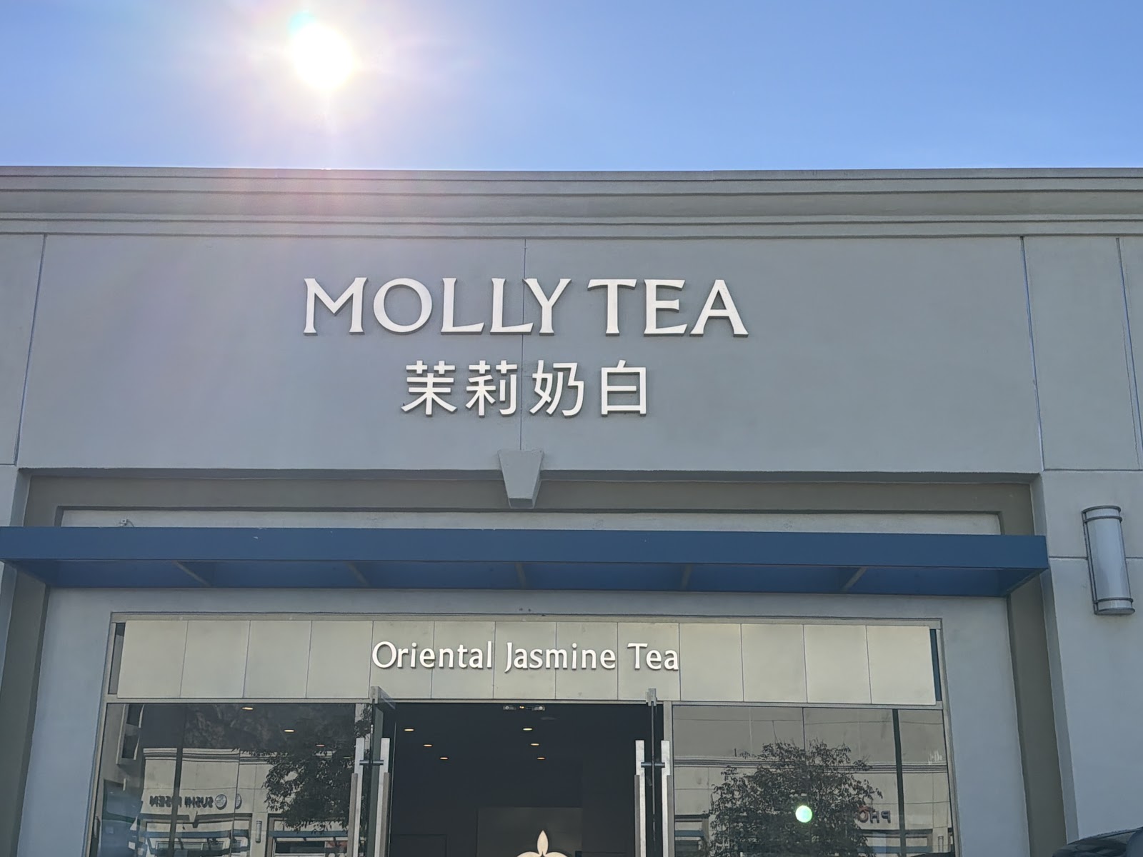 Molly Tea (Arcadia)