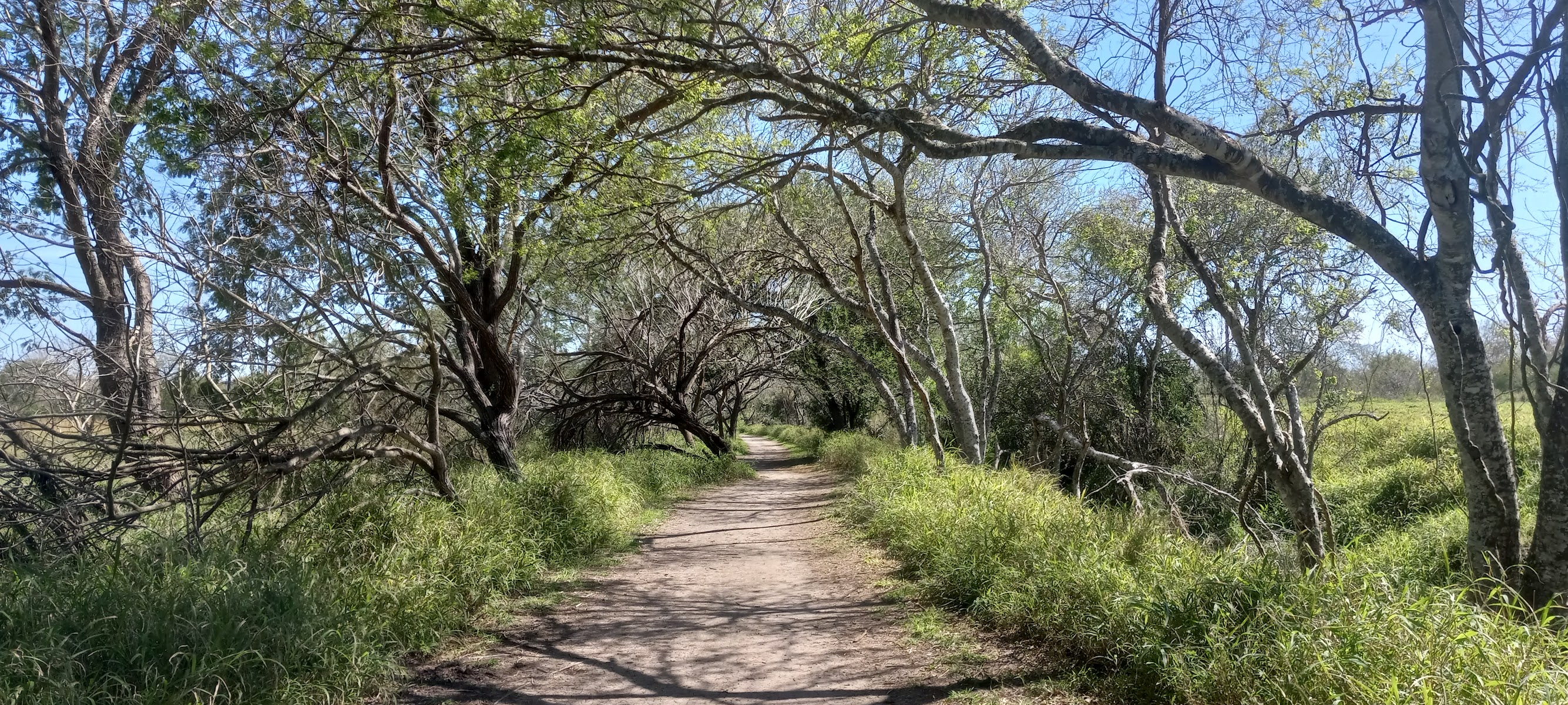 Monte Bella Trails Park