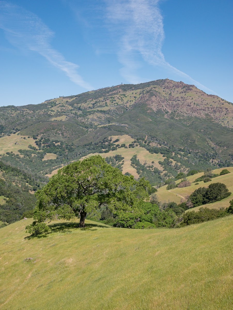 Morgan Territory Regional Preserve