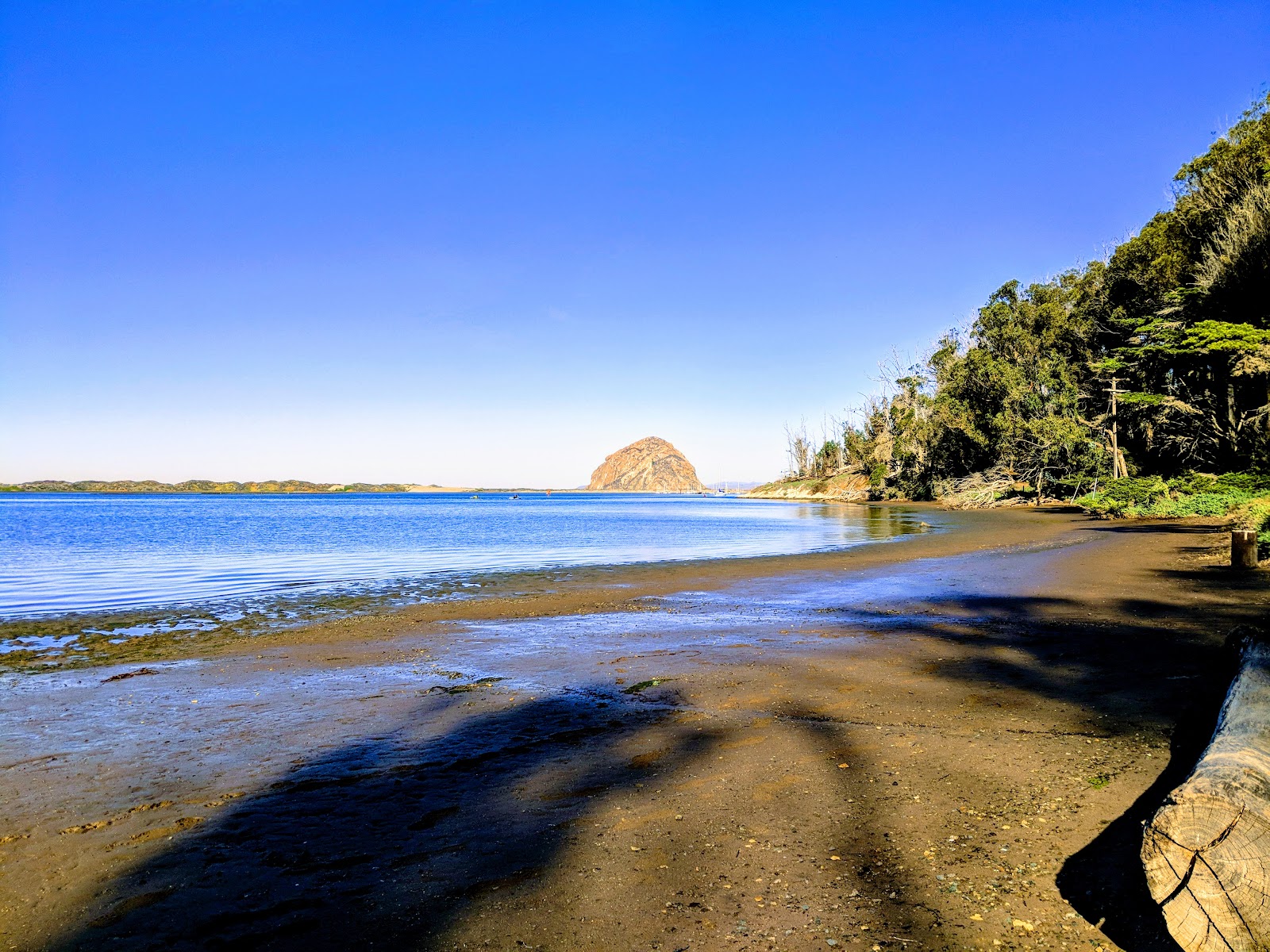 Morro Bay State Park