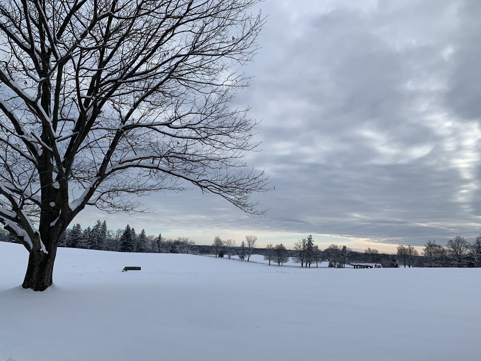Morven Park Grounds